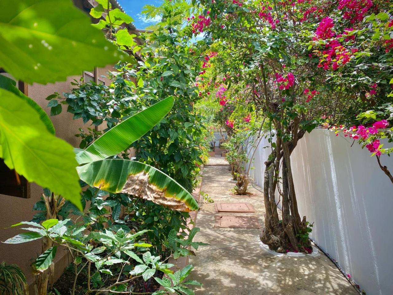 Samsara House Bed & Breakfast