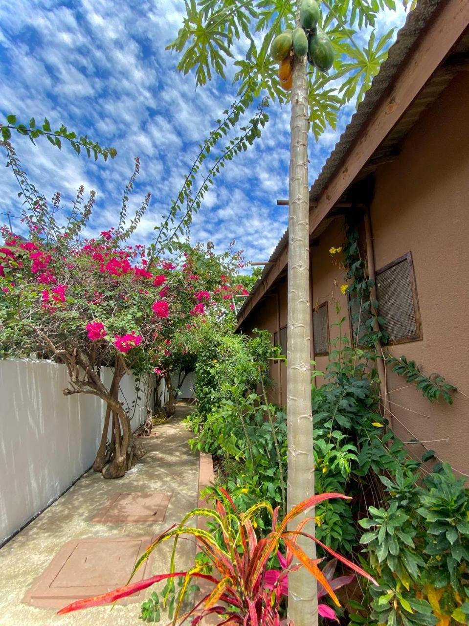 Bed & Breakfast Samsara House