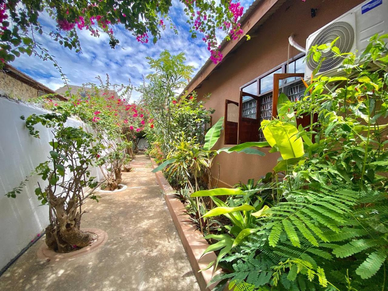 Bed & Breakfast Samsara House *