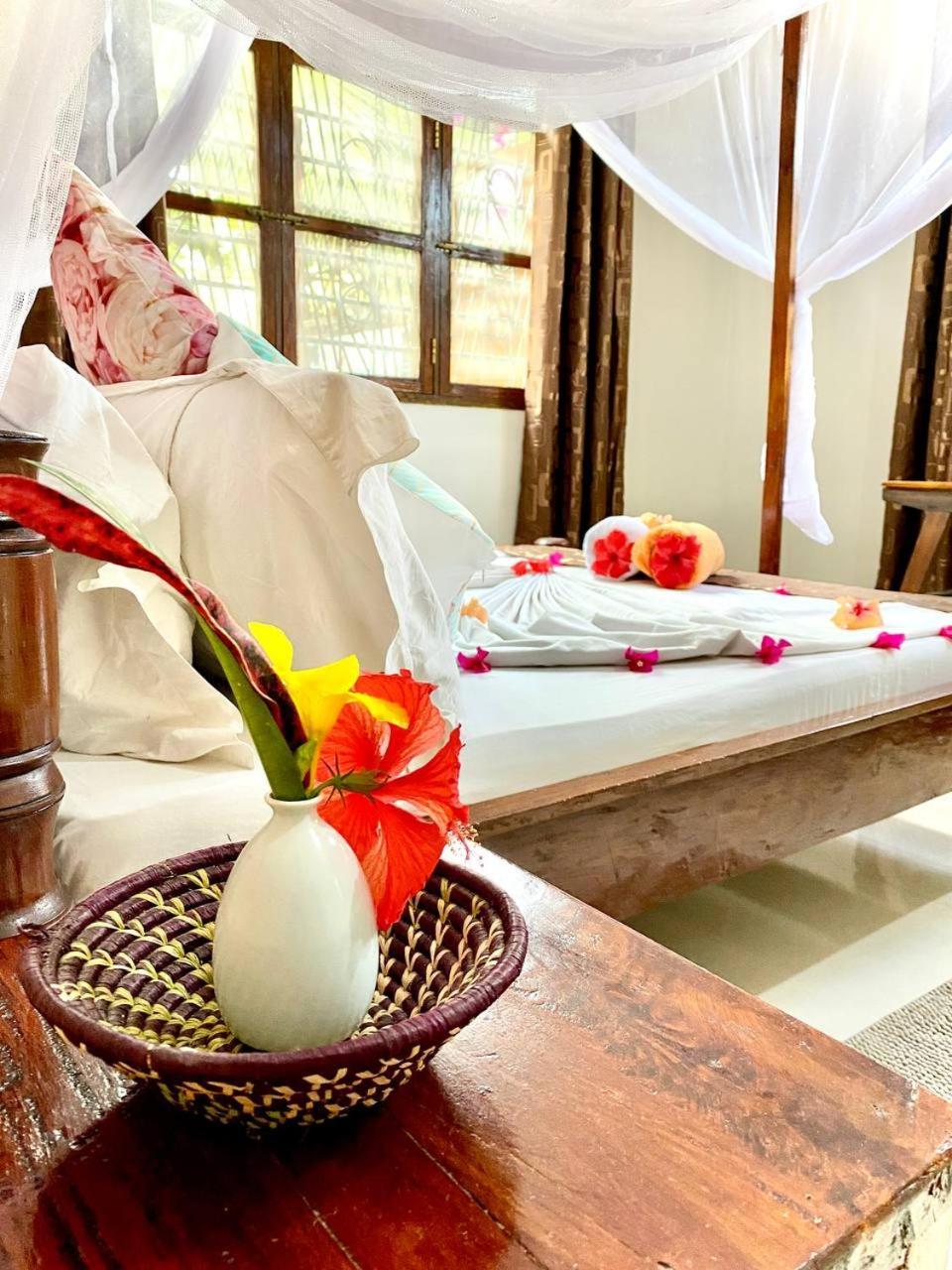 Bed & Breakfast Samsara House
